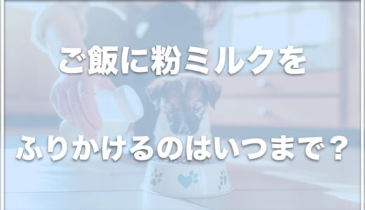 子犬のご飯に粉ミルクをふりかけるのはいつまで？ブドウ糖を与えるのがいつまでなのかも調査！