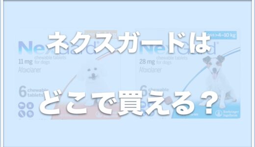 ネクスガードはどこで買える？ノミがいた場合の対処法は？ダニは落ちるのか危険性はあるかも調査！