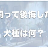 飼って後悔した犬種は何？飼ってよかった犬種ランキングは何なのかも紹介！