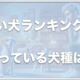 臭い犬ランキング15選！匂いがきつい犬種には何があるのかチェック！