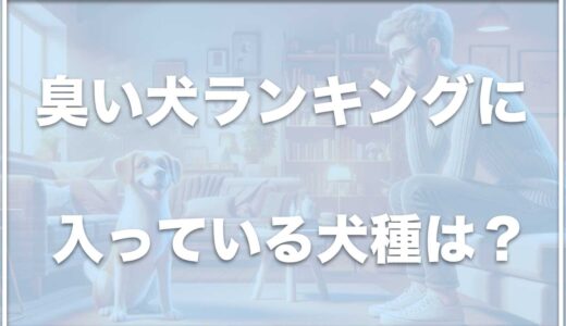 臭い犬ランキング15選！匂いがきつい犬種には何があるのかチェック！