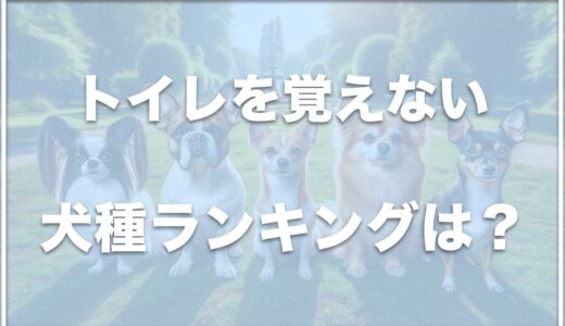 トイレを覚えない犬種ランキングはこちら！ベスト3や気になる犬種がランクインしていないかチェック！