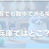 犬と雨でも散歩できる場所は兵庫ではココ！姫路の室内ドッグラン施設も紹介！