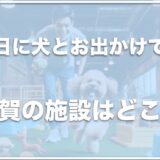 【雨の日に犬とお出かけ】滋賀の室内ドッグランがある場所はココ！それぞれのドッグランの特徴も紹介！