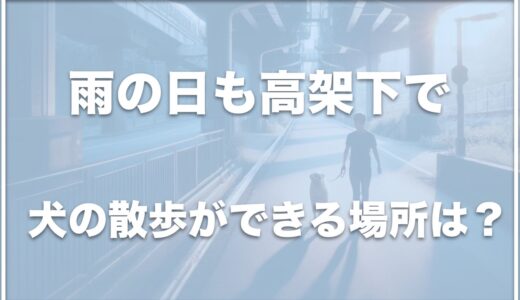 雨の日も犬の散歩がしたい！高架下で散歩できる場所は大阪ではココ！