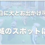 雨の日に犬とお出かけするなら茨城ではココ！室内ドッグランのある場所も紹介！