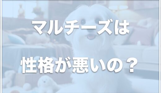 マルチーズは性格が悪い？毛が抜ける？凶暴化して捨てたいという人もいるのか調査！