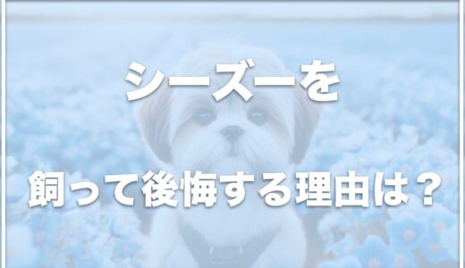 シーズーは気持ち悪い？飼って後悔するのは臭いが理由？性格が悪いのか寿命のギネス記録も調査！