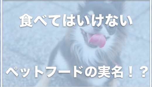 危ないペットフードの実名は？食べてはいけないフードはこちら！買ってはいけないドッグフードの商品名をチェック！