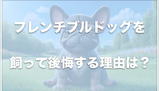 フレンチブルドッグを飼って後悔！？手に負えない犬って本当？落ち着く年齢も紹介！