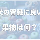 犬の腎臓にいい果物は何？犬の腎臓病に良い野菜・食べ物と食べてはいけないものをチェック！