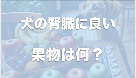 犬の腎臓にいい果物は何？犬の腎臓病に良い野菜・食べ物と食べてはいけないものをチェック！