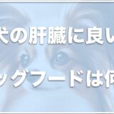 犬の肝臓に良いドッグフードは何？肝臓の数値が高いならこのフードがおすすめ！