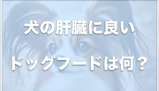 犬の肝臓に良いドッグフードは何？肝臓の数値が高いならこのフードがおすすめ！