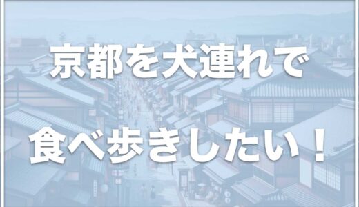 京都を犬連れで食べ歩きするならココがおすすめ！人気のメニューも紹介！