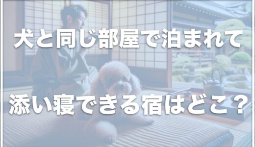 犬と同じ部屋で泊まれる・添い寝できる宿はどこ？一緒に布団で寝られる宿はココ！