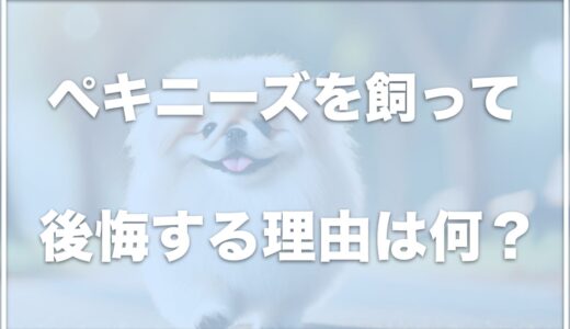 ペキニーズを飼って後悔する理由は性格が悪いし気持ち悪いから！？かわいすぎるけど平均体重や短命かどうかも調査！