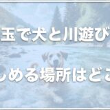 犬と川遊びするなら埼玉ではココ！道の駅やキャンプ場・公園を紹介！