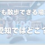 犬と雨でも散歩できる場所は愛知・名古屋でどこ？雨の日に犬とお出かけするならココ！【東海編】