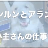 ルンルンとアランの飼い主・お兄さんは結婚してる？お金持ちって本当？山の家はどこかアンチがいるかも調査！