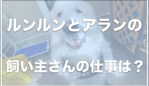 ルンルンとアランの飼い主・お兄さんは結婚してる？お金持ちって本当？山の家はどこかアンチがいるかも調査！