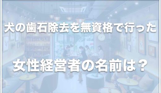 犬の歯石除去を無資格で行った女性経営者の名前は？ドッグカフェの名前も調査！