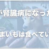 犬が腎臓病になったらさつまいもは食べさせていい？茹で方や皮を取るのかも調査！