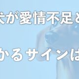 犬が愛情不足だと分かるサインは6つある！愛されてる犬・幸せな犬の特徴と比較してみよう