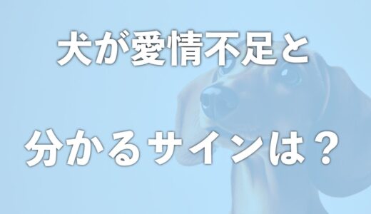 犬が愛情不足だと分かるサインは6つある！愛されてる犬・幸せな犬の特徴と比較してみよう