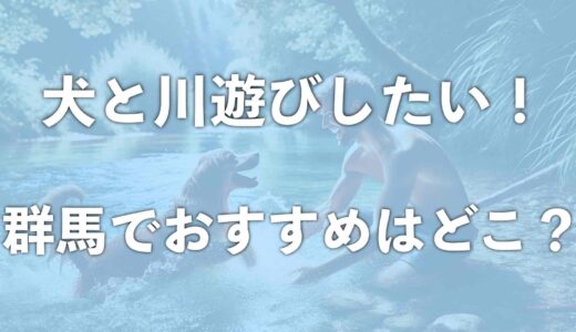 犬と川遊びするなら群馬ではココ！おすすめスポットを紹介！